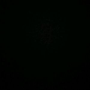 Meet your Posher, Hailey